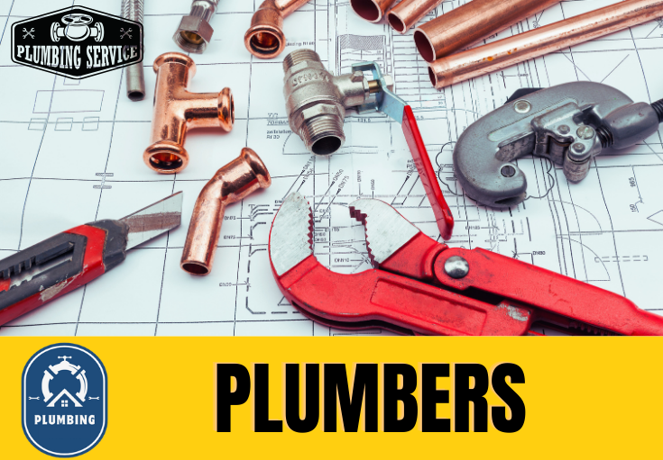  plumber Ditton